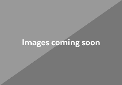 image-placeholder.png-nggid03164-ngg0dyn-250x175x100-00f0w010c011r110f110r010t010